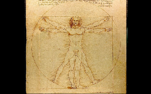 Vitruvian man